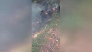 The guy was eliminated along with a club prior to he was actually shed