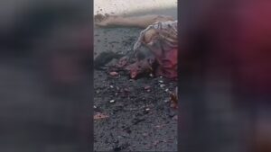 The male's mind is actually became bloody porridge 