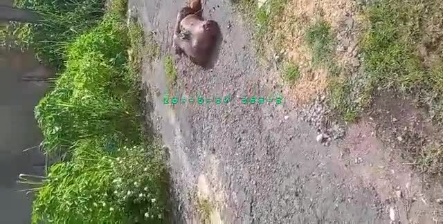 The police found the guy fell to pieces into numerous item