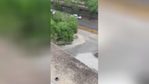 The rio de janeiro firing cases 5 lives