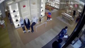 The crook got hold of some louis vuitton goods as well as attempted 1 The crook got hold of some louis vuitton goods as well as attempted