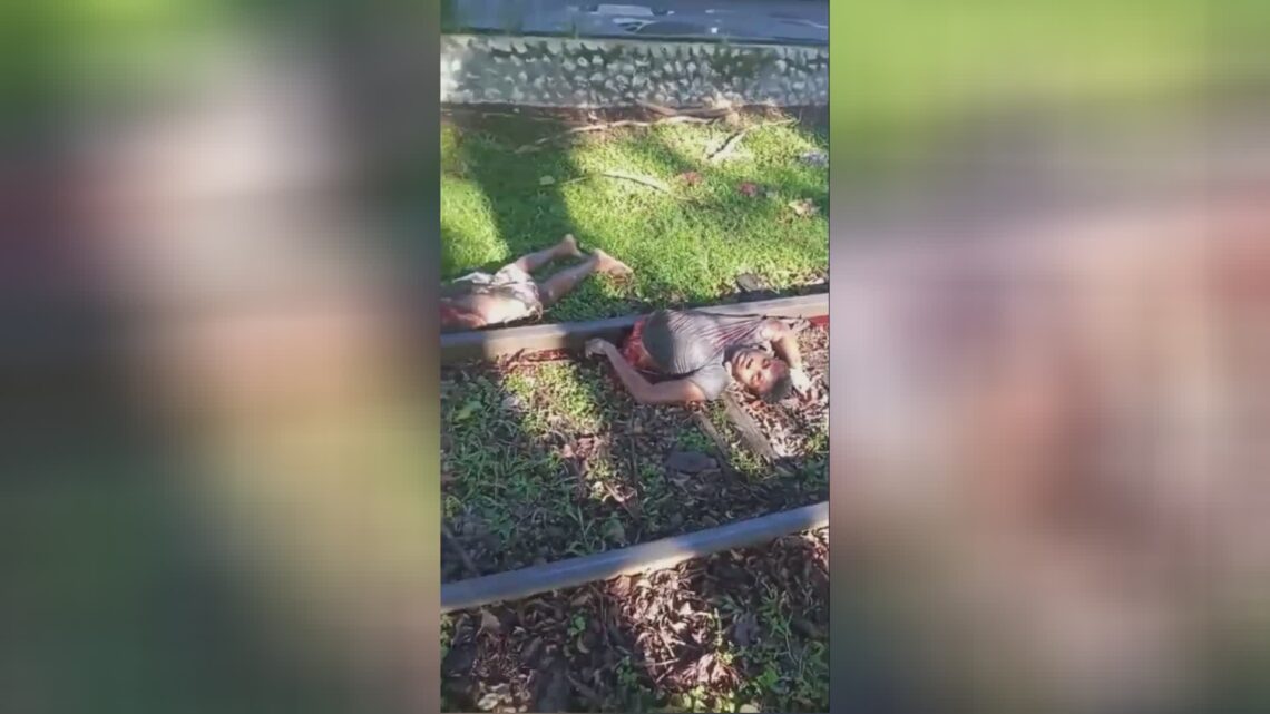 The learn decrease the guy in fifty percent