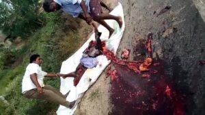 These guys aren't dainty and may not be hesitant of dirty work