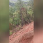 They certainly never found the landslide coming