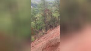 They certainly never found the landslide coming