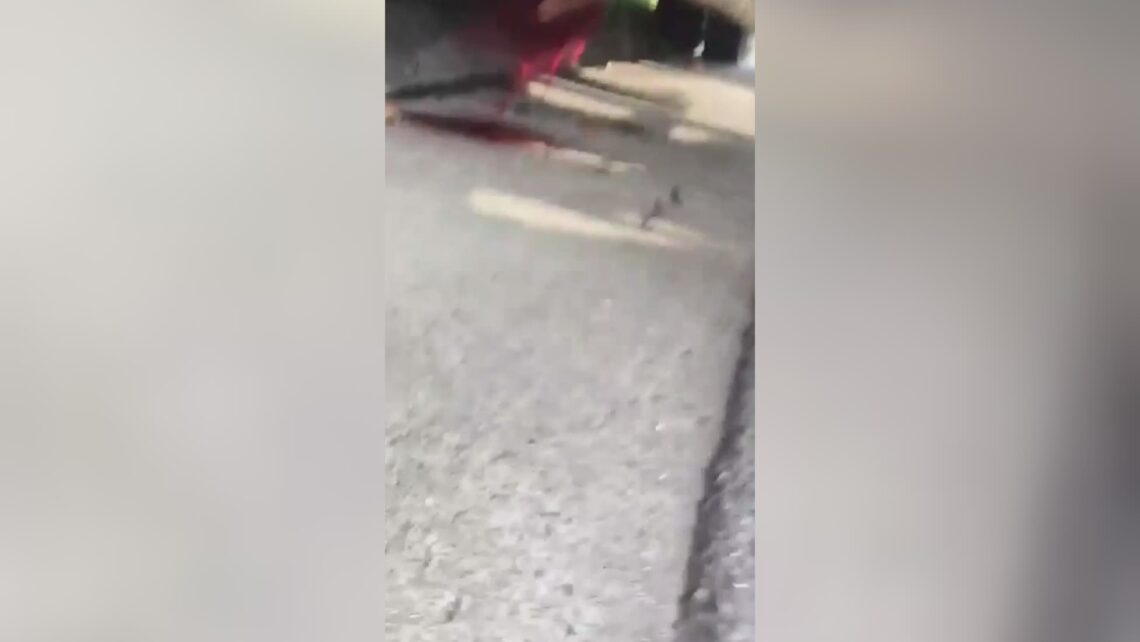 This part of chicken was actually just recently a male