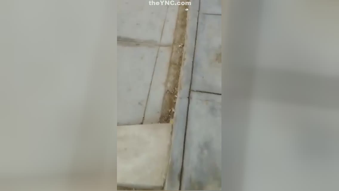 Criminal carries out a person that refused to pay coercion