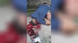 Pair of brothers chance in the head south america bahia state