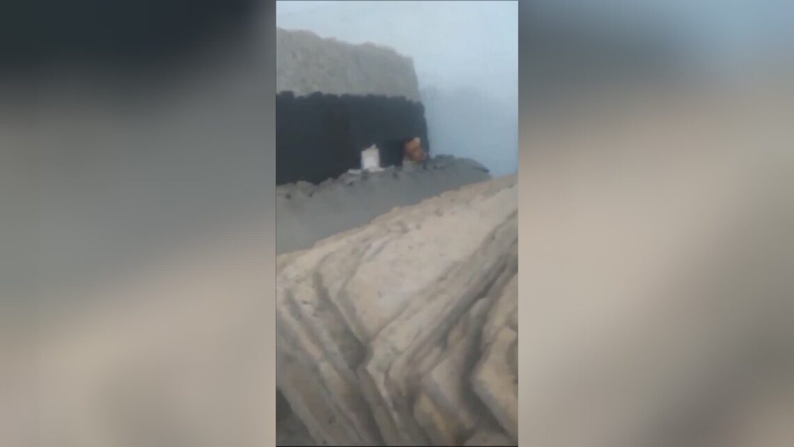 Pair of workers squashed by fallen concrete slabs