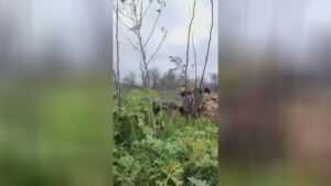 Ukrainian nazis executed slave russian soldiers