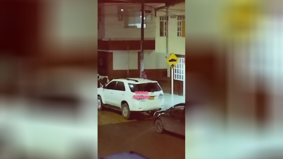 Wild impressive battle along with machetes