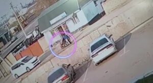 Mobility device bound man killed after being pushed from elevation