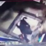 Woman as well as her dog in lift