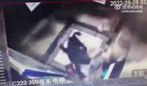 Woman as well as her dog in lift