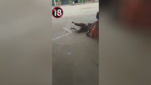 Female beaten to a blood-spattered pulp