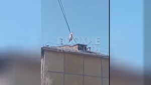 Lady mountaineering wires & fell to her death