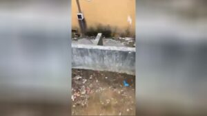 Lady found dismembered in france