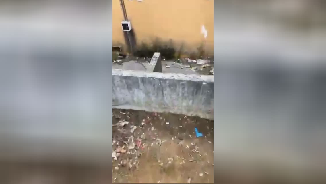 Lady found dismembered in france