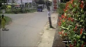 Female gotten rid of by a falling post in sri lanka 1 Female gotten rid of by a falling post in sri lanka