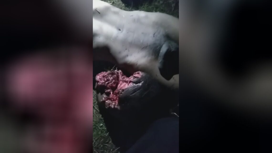 Opponents show guy that was beheaded