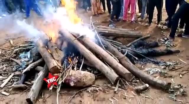 Claimed revolutionaries gotten rid of and also gotten rid of