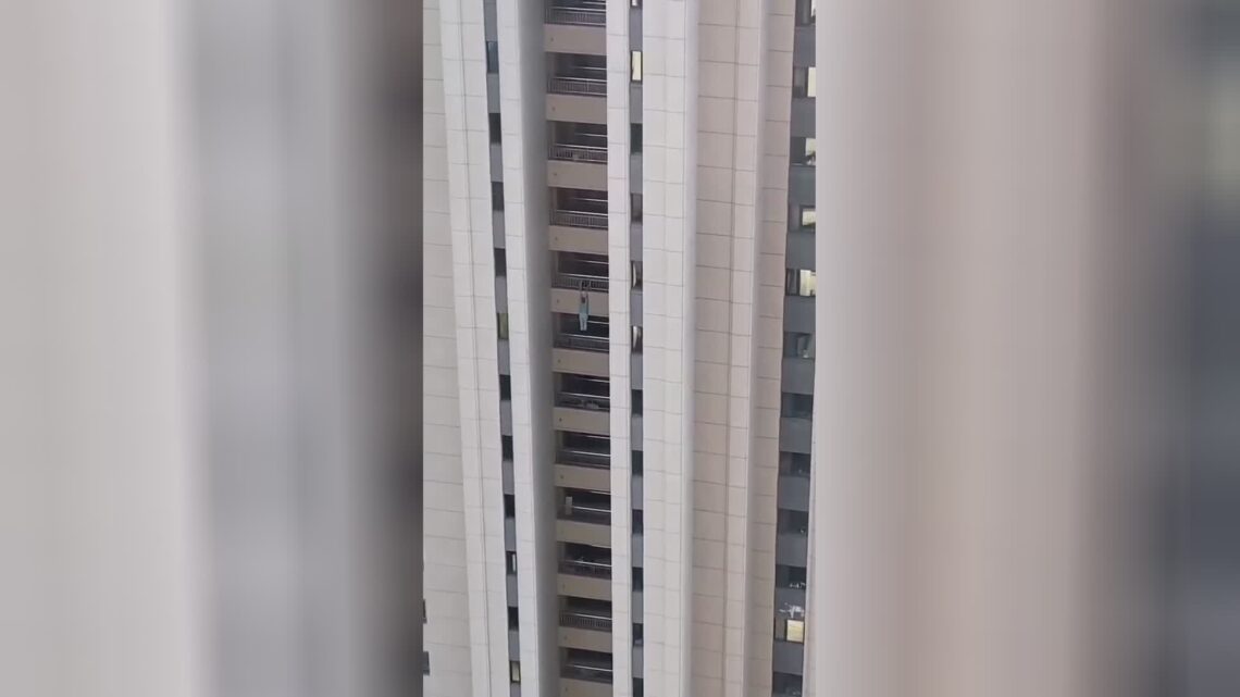 A new introduce into the space