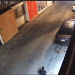 Pet ruins property intrusion