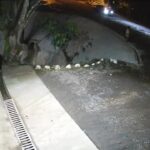 Drunk guy falling into river while fighting along with his other half