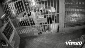 Ex-spouse convict gunned down right after penitentiary launch 1 Ex-spouse convict gunned down right after penitentiary launch