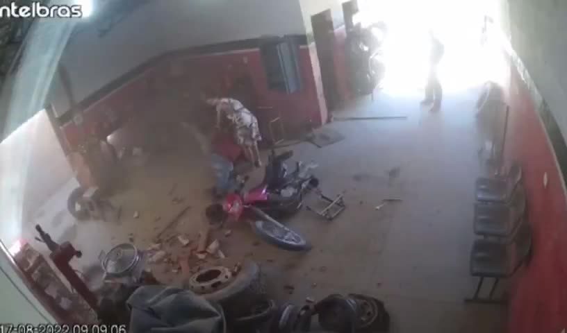 Layoff for auto mechanic in south america