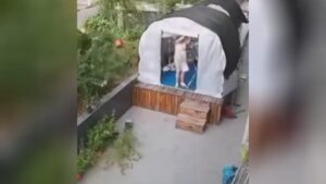 Last place attacked towards the scalp by falling roof repair tiles