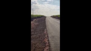 Coming from the set just how to fuck your own life 1 6373ad9b11ed7 from the series how to fuck your own life theync.mp4 3b