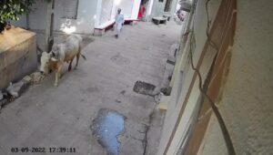 Fully fucking should have 1 Fully fucking should have