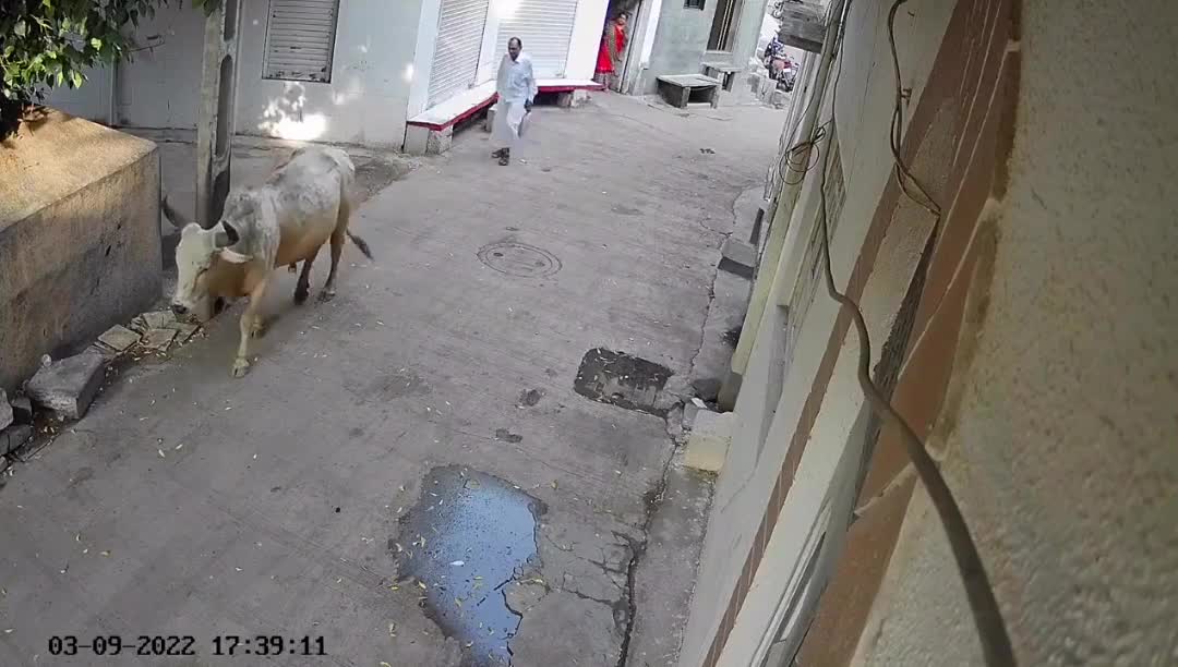 Fully fucking should have