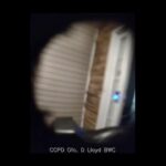 Georgia female fires female officer while reacting to a car