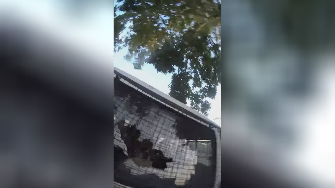 Isis participant films himself putting to death policemans