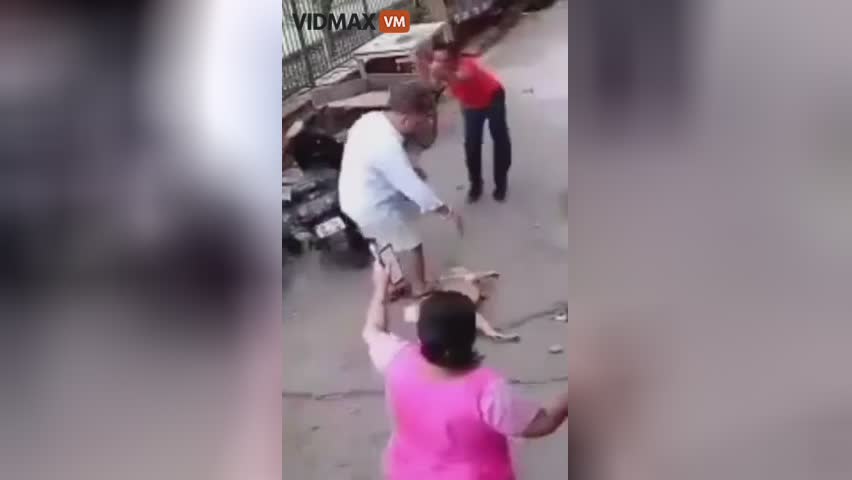 Man brutally guard dogs own as well as his pup with a metal pole
