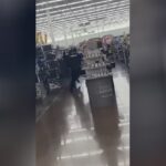 Man wielding machete inside walmart fatally try by indiana