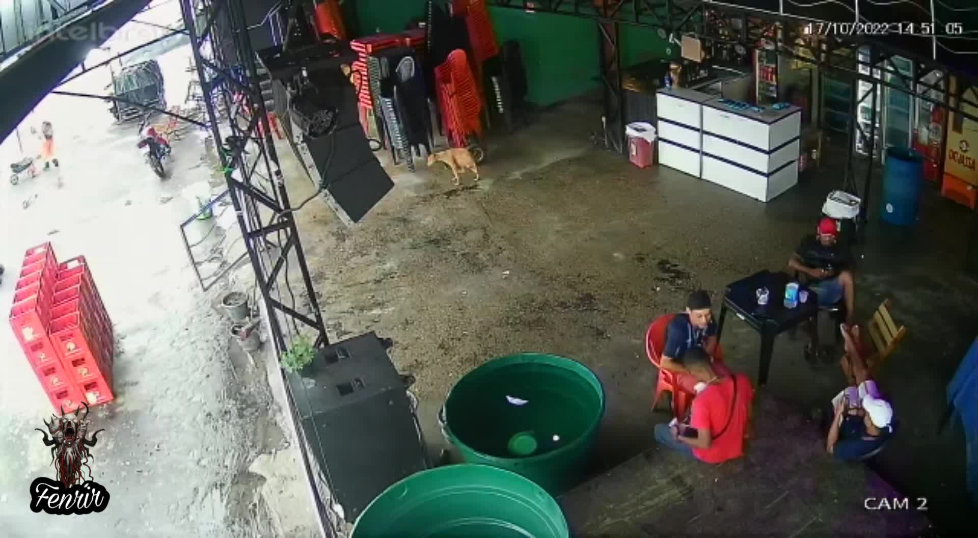 Mass murder at bench