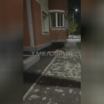 Nude stripper thrown from the fourth flooring in russia