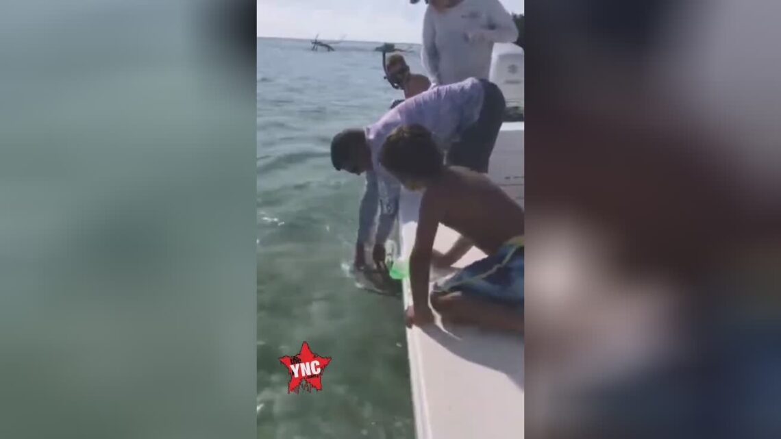 Shark bites angler who was actually attempting to capture it
