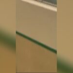 Trailer trash goes responsible for subway counter as well as attack employee