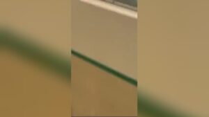 Trailer trash goes responsible for subway counter as well as attack employee