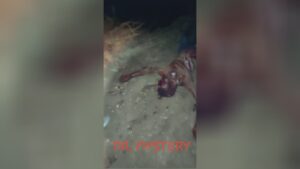 Venezuelan groups are fucking callous 1 Venezuelan groups are fucking callous