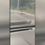 Lady perishes sprawled