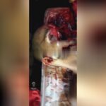 12 scale gun shoot in close quarters