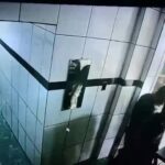 Quick headshot in brazil