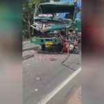 The greatest canned sardines from china