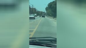 The best screwed up half-wit of the week