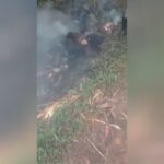 Burglar little by little prepared active in congo